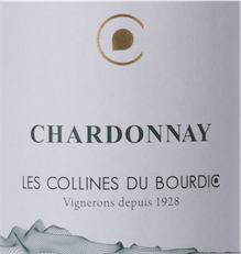 Chardonnay 2024 | Les Collines de Bourdic