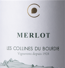 Merlot 2024 | Les Collines de Bourdic